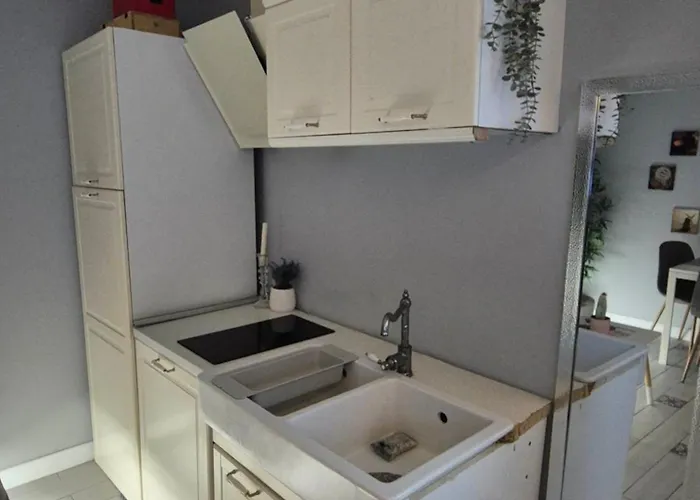 2 Bedrooms Business And Travel Lounge Craiova